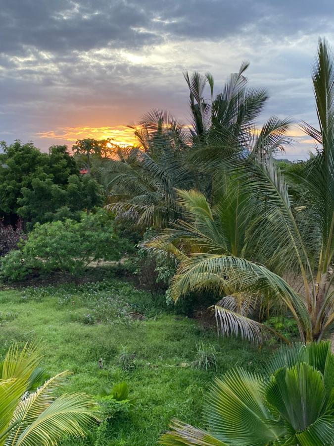 Darwesh Nyumba Lodge Nungwi Eksteriør bilde